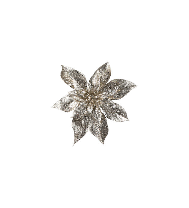 Dekoration Stella Champange m. clipps 15 cm