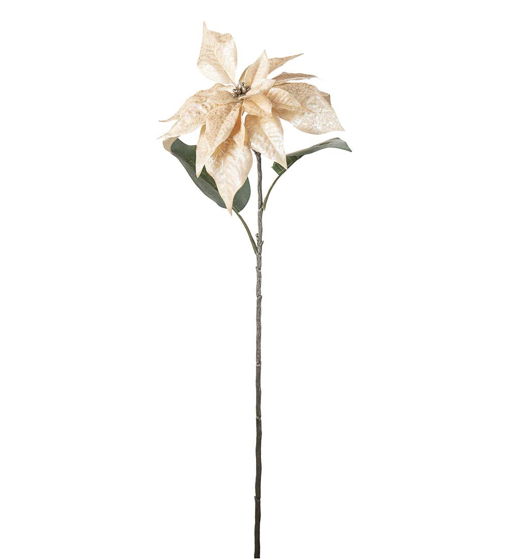 Julstjärna Champange Shimmer 70 cm