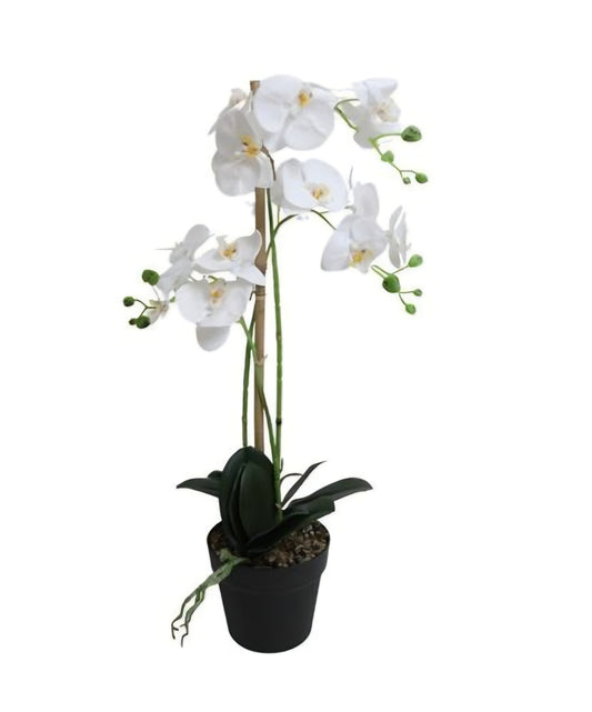 Konstgjord Orkidé 64 cm, 3 stam Vit