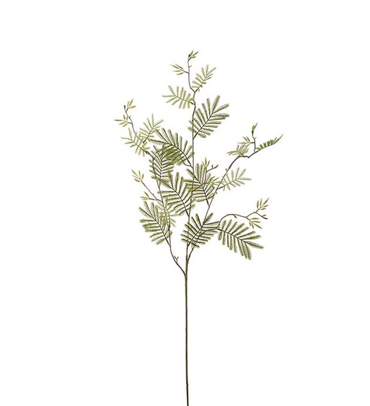 Konst Mimosakvist Grön 110 cm