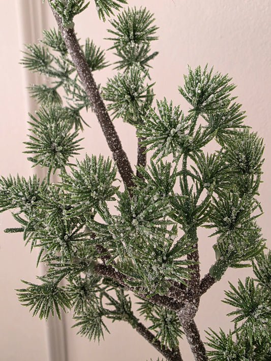 Lärkkvist med frost 70 cm