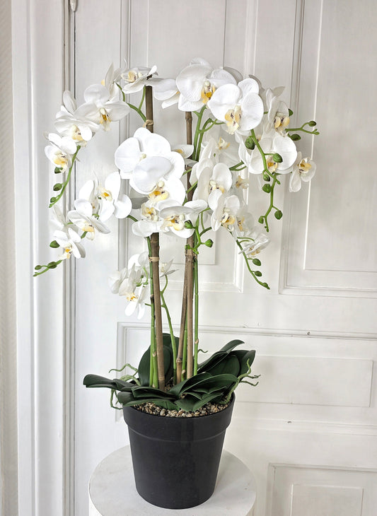 Konstgjord Orkidé 80 cm, 8 stam Vit
