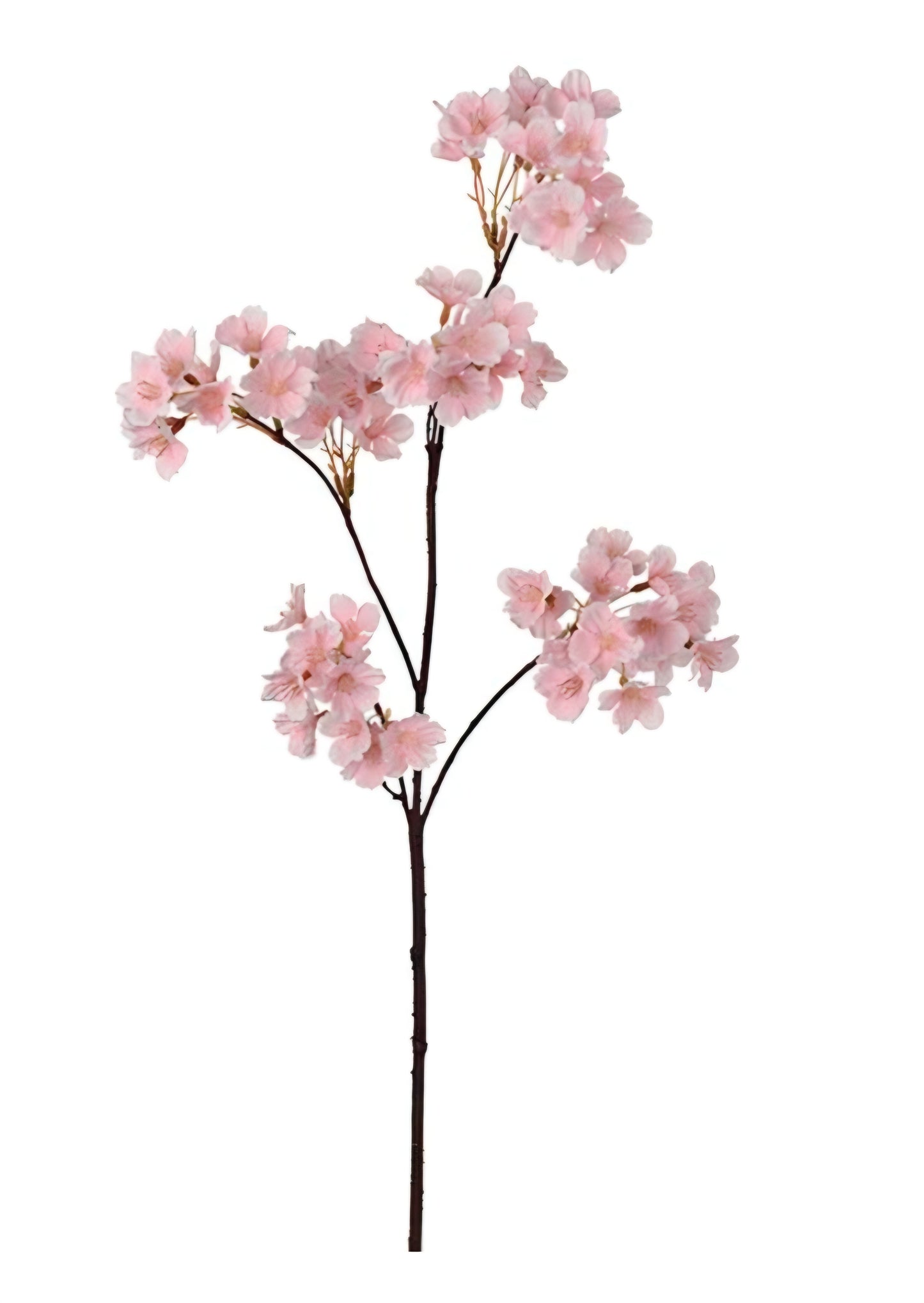Konst Körsbärsblom 90 cm Rosa