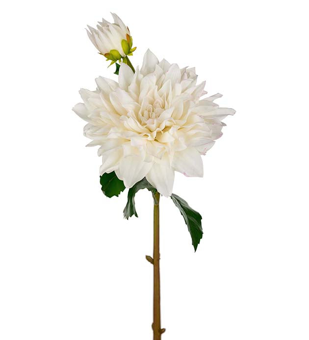 Konst Dahlia Vit " Real touch"