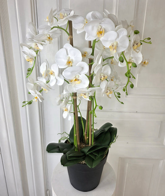 Konstgjord Orkidé 80 cm, 8 stam Vit