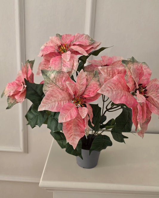 Julstjärna Rosa 45 cm