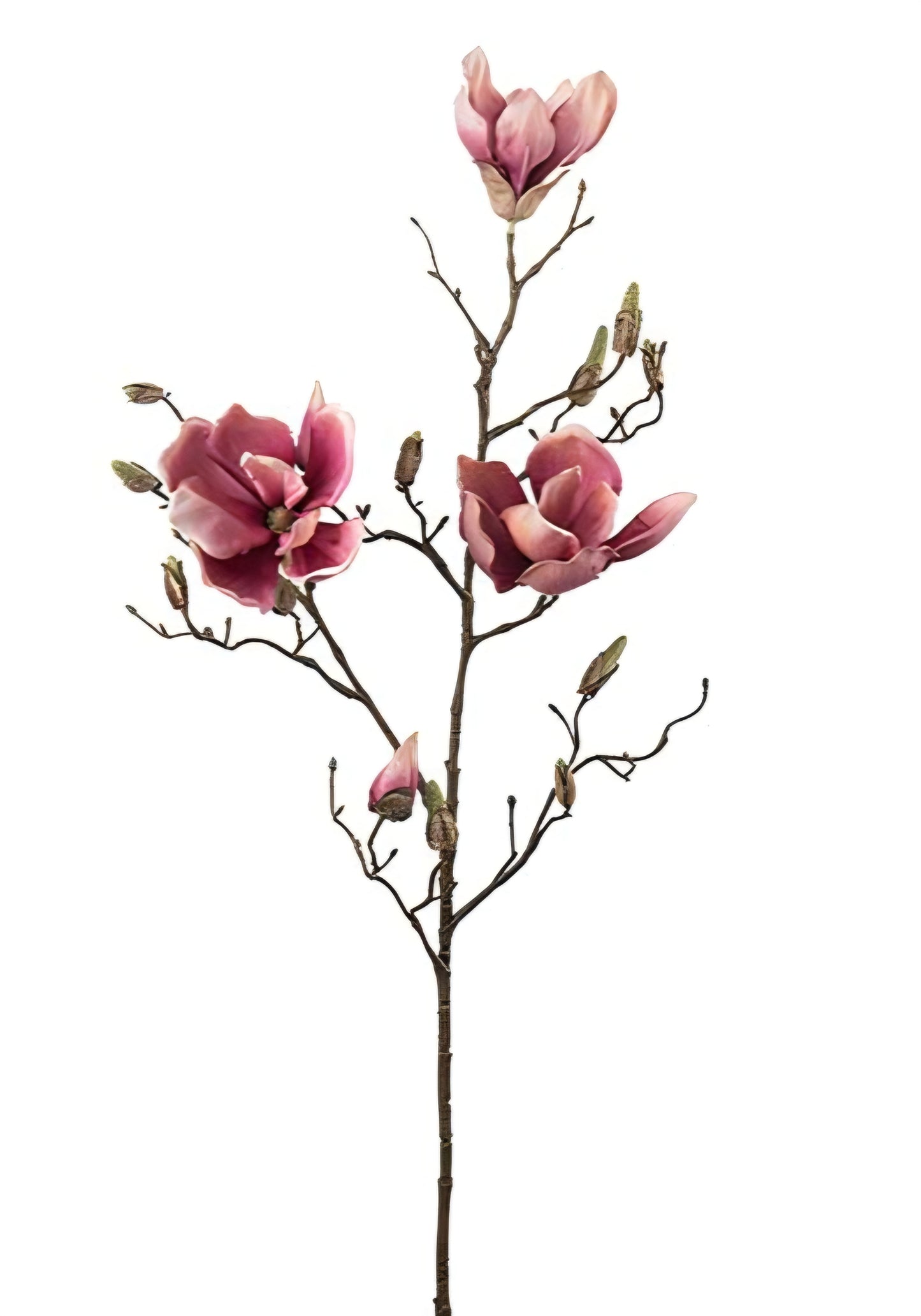 Konst Magnolia Lila 88 cm