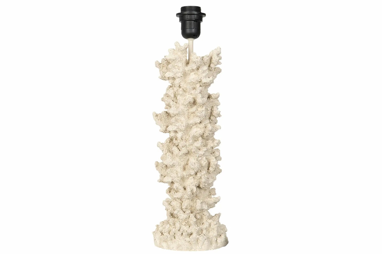 Lampfot Korall
46 cm