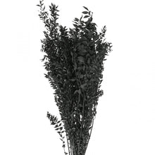 Ladda upp bild till gallerivisning, Ruscus Svart 100gr - Torkade blommor &amp; blad
