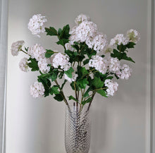 Ladda upp bild till gallerivisning, Olvon 96 cm Rosa
