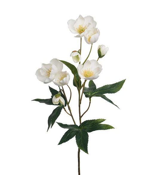 Julros 57 cm vit