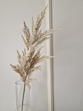 Load image into Gallery viewer, Pampas grass 100 cm natural 
