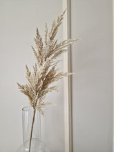 Load image into Gallery viewer, Pampas grass 100 cm natural 
