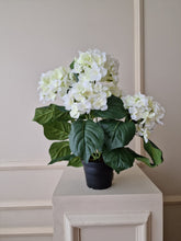 Load image into Gallery viewer, Hortensia 37 cm
