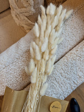 Load image into Gallery viewer, Lagurus Rabbit tail Vit 80gr - Torkade blommor &amp; blad
