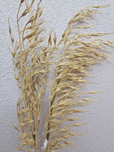 Load image into Gallery viewer, Grass Beige 85 cm
