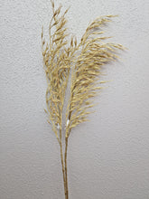 Load image into Gallery viewer, Grass Beige 85 cm
