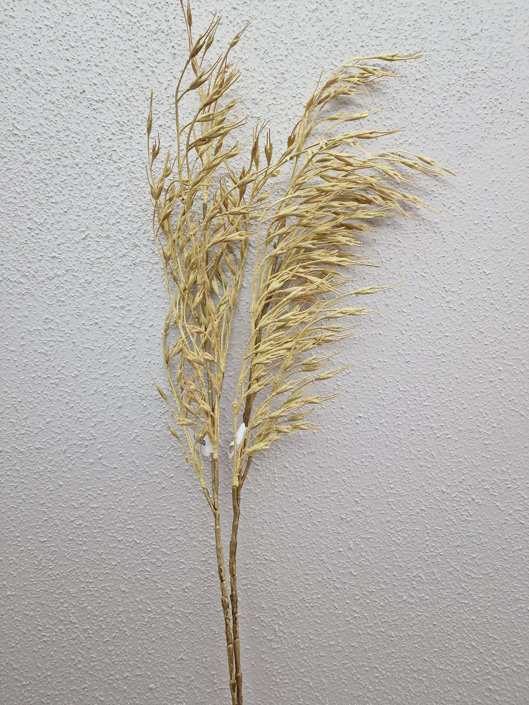 Grass Beige 85 cm