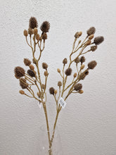 Load image into Gallery viewer, Thistle 58 cm
