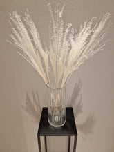 Load image into Gallery viewer, Dried flowers &amp; leaves, Pampas grass luxurious miscanthus White
