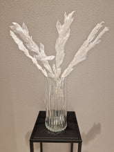 Ladda upp bild till gallerivisning, Storbladig Ruscus Vit 5-pack- Konserverade blommor &amp; blad
