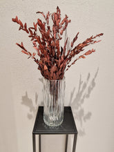 Lade das Bild in den Galerie-Viewer, Konservierte Blumen, Eukalyptus Burgund Kleine Blätter 
