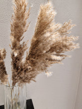 Load image into Gallery viewer, Vild pampas 5-pack- Torkade blommor &amp; blad
