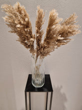 Load image into Gallery viewer, Vild pampas 5-pack- Torkade blommor &amp; blad
