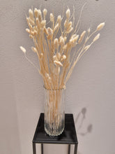 Load image into Gallery viewer, Torkade blommor &amp; blad, Phalaris Vit
