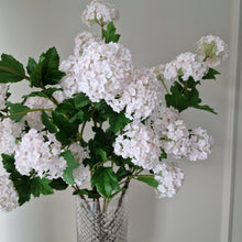 Ladda upp bild till gallerivisning, Olvon 96 cm Rosa
