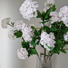 Ladda upp bild till gallerivisning, Olvon 96 cm Rosa
