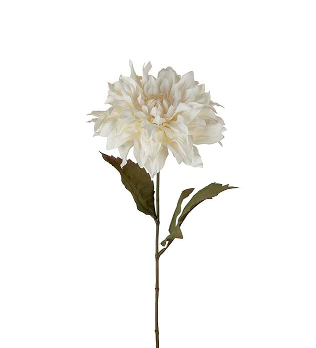 Konst Dahlia Offwhite 70 cm