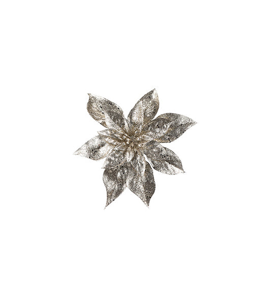 Dekoration Stella Champange  m. clipps 15 cm