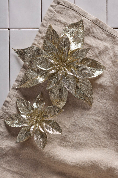 Dekoration Stella Champange  m. clipps 15 cm