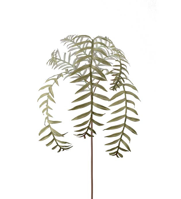 Konst Ormbunksblad 50 cm