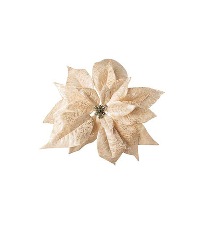 Julstjärna med clips Champange 24 cm