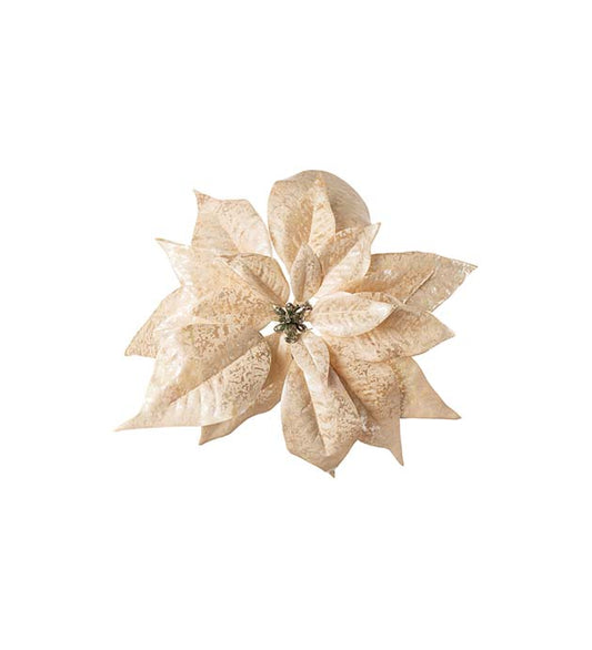 Julstjärna med clips Champange 24 cm