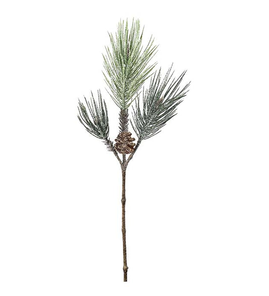 Tallkvist med frost 60 cm