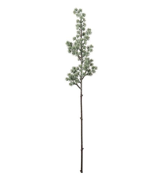 Lärkkvist med frost 70 cm