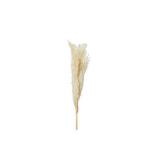 Load image into Gallery viewer, PAMPAS 90 cm 3-pack 
