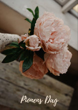 Load image into Gallery viewer, Pion 65 cm Ljusrosa
