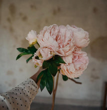Load image into Gallery viewer, Peony 65 cm Light pink
