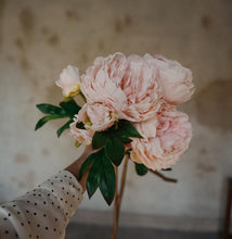 Load image into Gallery viewer, Pion 65 cm Ljusrosa
