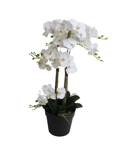 Konstgjord Orkidé 80 cm, 8 stam Vit