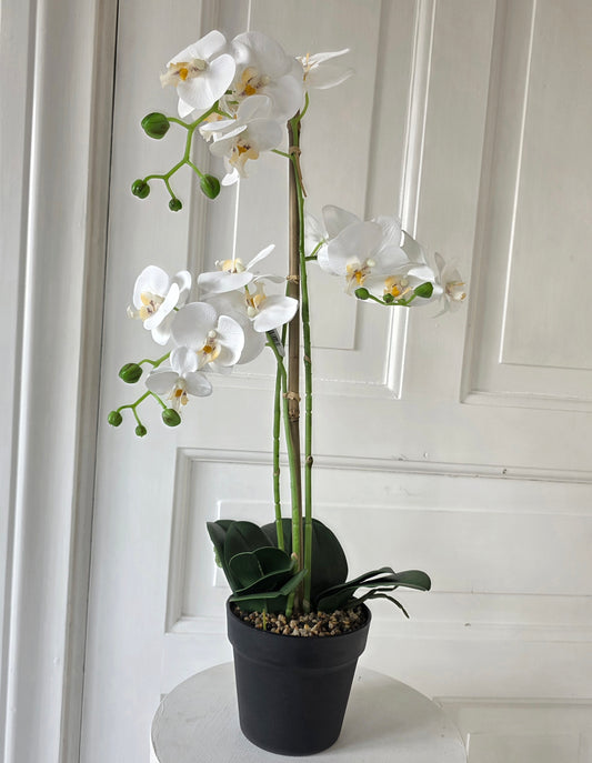 Konstgjord Orkidé 64 cm, 3 stam Vit
