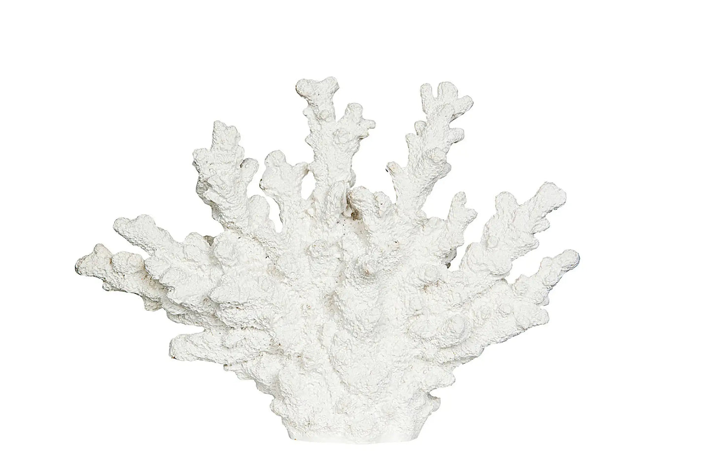 Dekoration Korall
19 cm