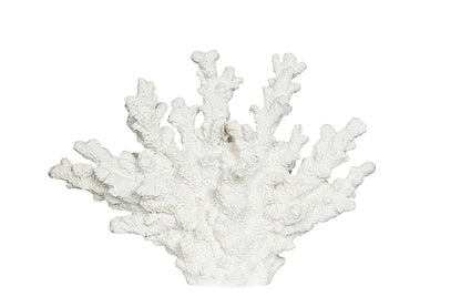 Dekoration Korall
19 cm
