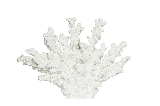 Dekoration Korall
19 cm