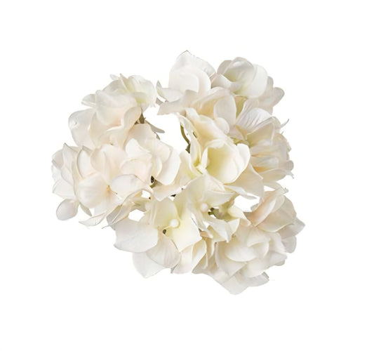 Hortensia med clips Cream