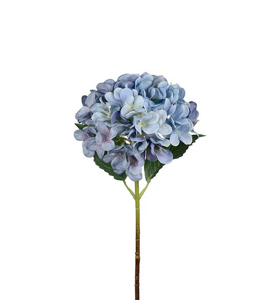 Hortensia Blå 48 cm